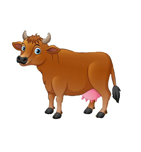 a cute cow psd file