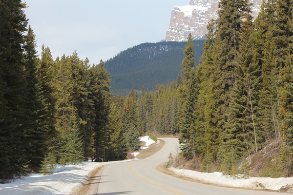 a lovely walk along this road looking towards castle mountain bow valley parkway