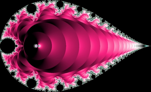 a pink fractal