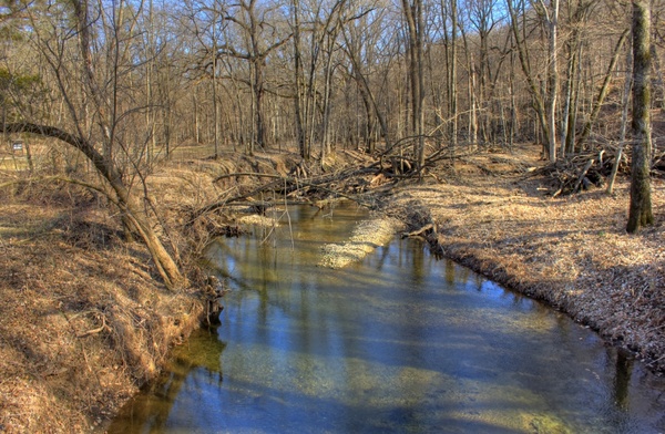 a small river at backbone state park iowa