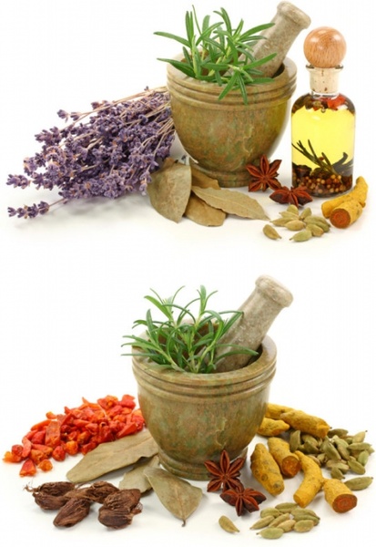 a variety of spices and garlic mortar highdefinition picture