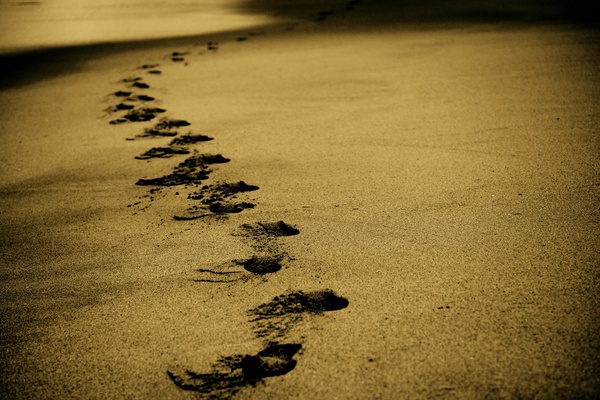 abstract beach coast foot footprint golden island