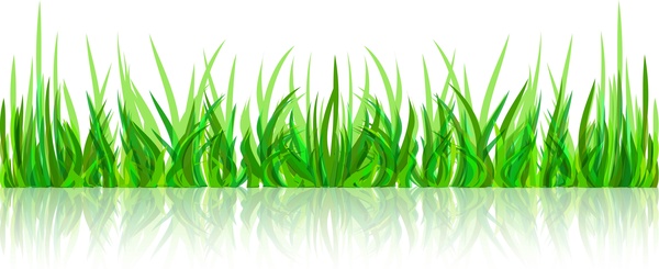 abstract green grass with reflection vector