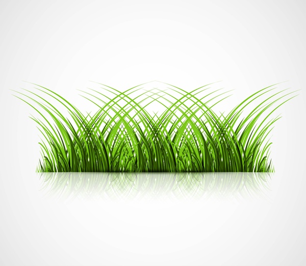 abstract green grass with reflection vector illustration