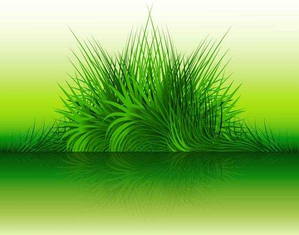 abstract green grass with reflection vector illustration