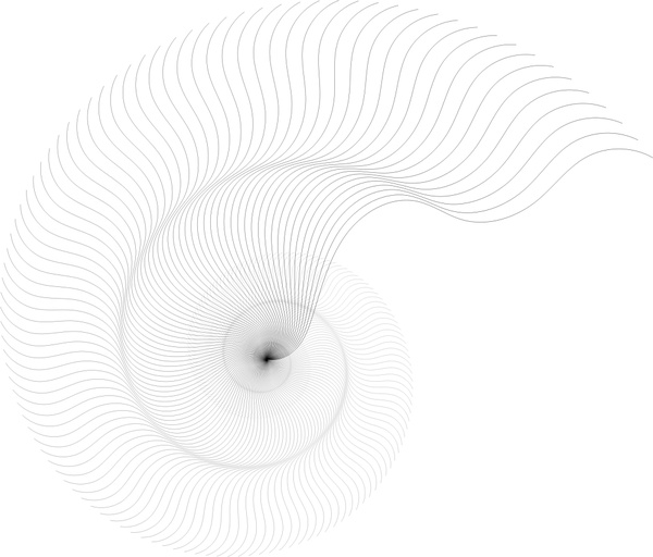 abstract nautilus sketch vector illustration in black white