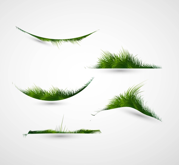 abstract shiny green grass collection vector frame illustration
