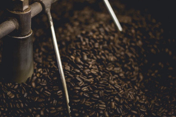 abundance agriculture background beverage blur coffee