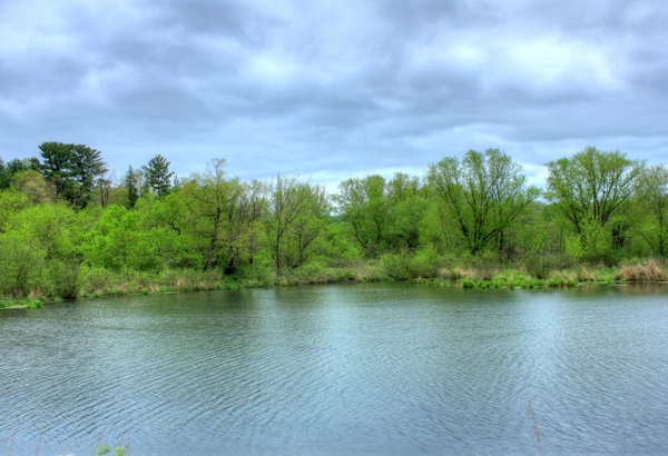 across a pond at kickapoo valley reserve wisconsin 