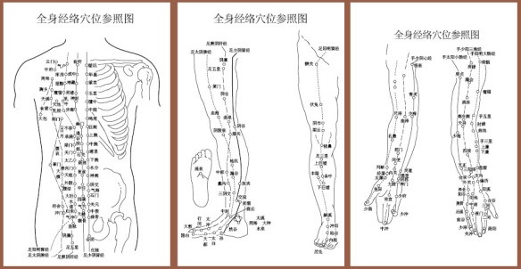 acupuncture meridian points with reference to the body map