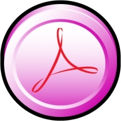 Adobe Acrobat Professional CS 2