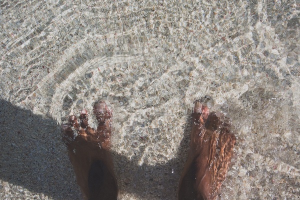adult animal beach coastline environment feet foot