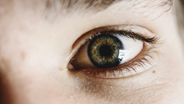 adult cornea eyeball eyebrows eyelash eyelids eyes