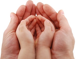 adult hands holding baby hands stock photo