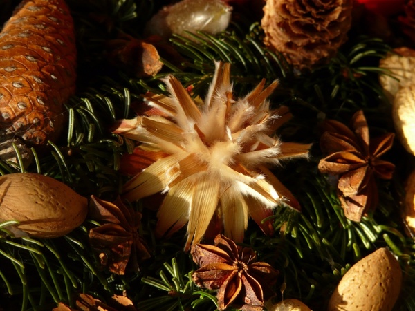 advent wreath seeds ornament