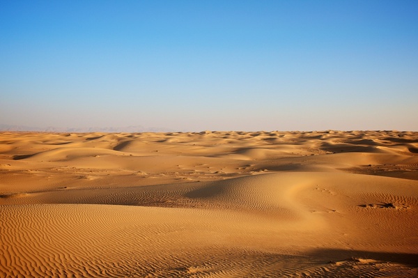 adventure arid camel desert desolate dry dunes gold 