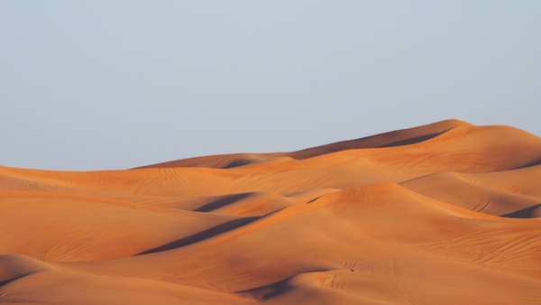 adventure arid camel desert desolate dry dunes heat
