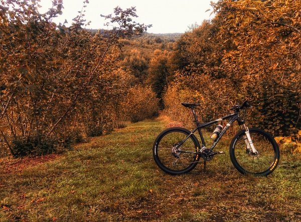 adventure autumn bicycle