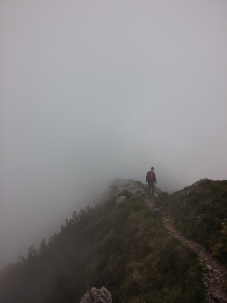 adventure daytime fall fog forest haze hiking hill