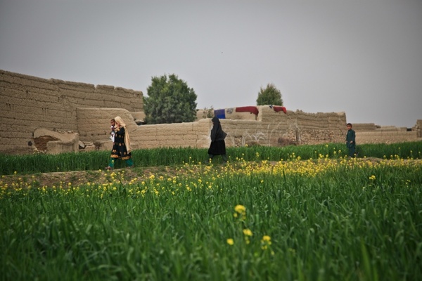 afghanistan farm woman