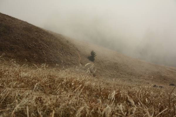 agriculture autumn daytime dust field fog grass