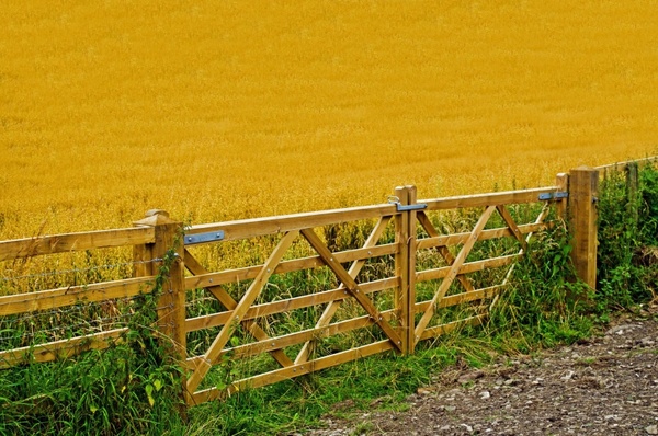 agriculture crop fence
