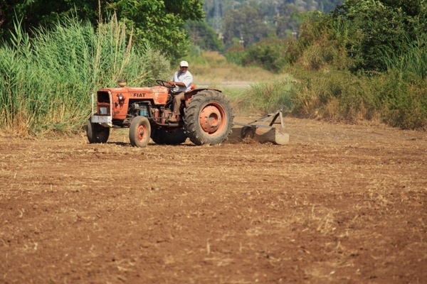 agriculture cultivating cultivation