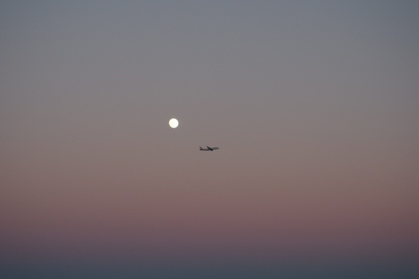 air aircraft airplane bird dusk evening flight