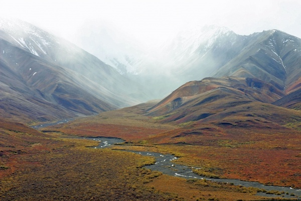 alaska mountains tundra
