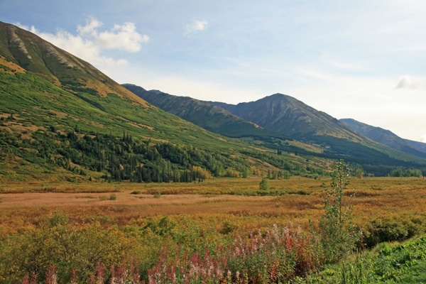 alaska wilderness mountain