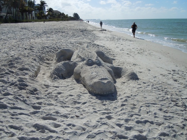 alligator beach sand sculpture