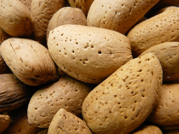 almonds nuts shell