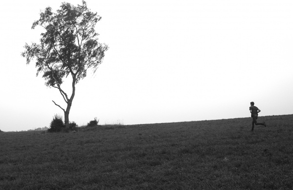 alone black and white country countryside field fog 
