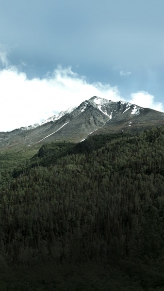 alps forest glacier hiking hill landscape mountain