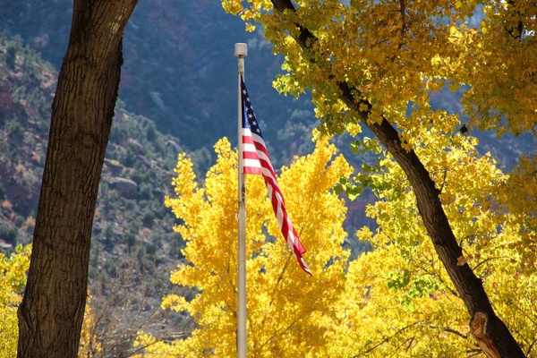 american flag against yellow trees