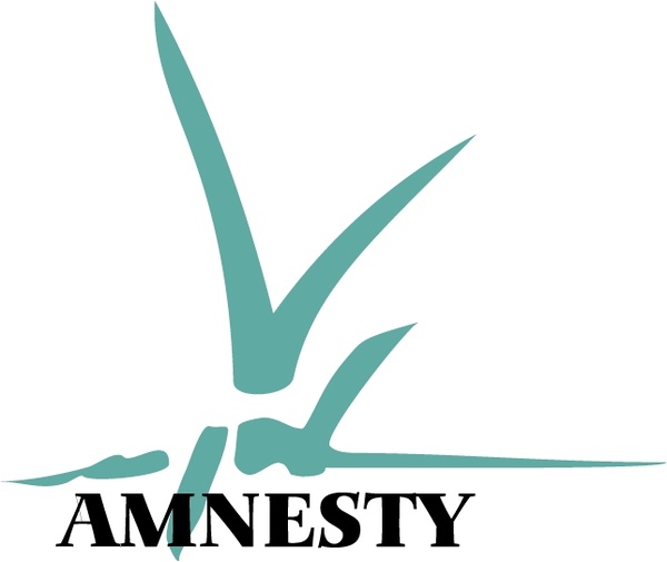 amnesty international 2 
