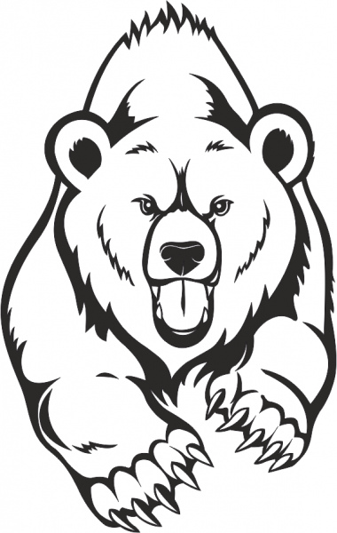 Angry face bear drawing vectors art Vectors graphic art designs in