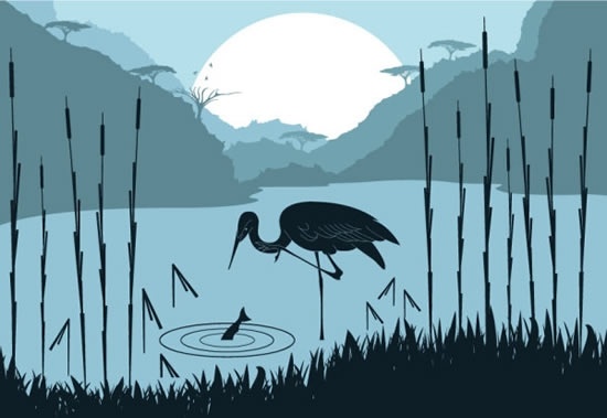 wildlife painting stork pond moonlight sketch cartoon design