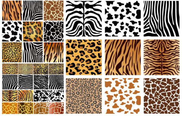 animal texture background vector graphics