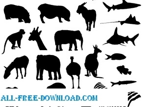 Animal Vectors 