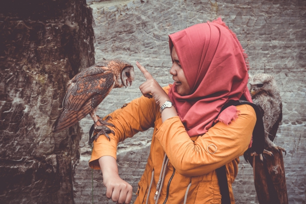 friendship of owls and trainer