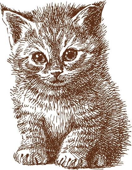 animals cute cat vector line art