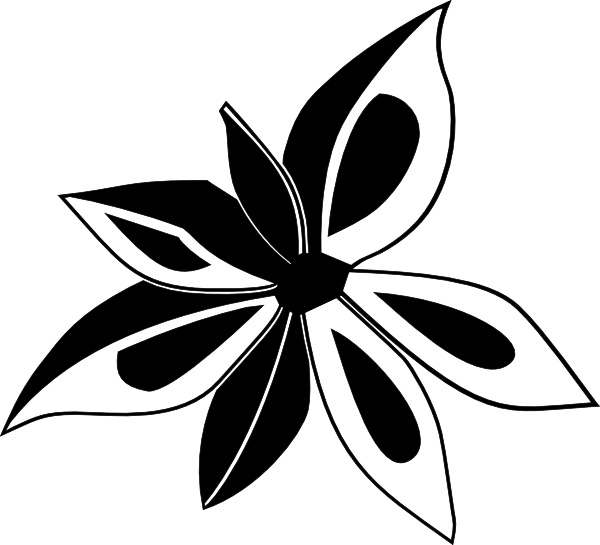Anise Plant clip art