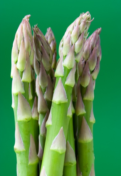 appetite asparagus food
