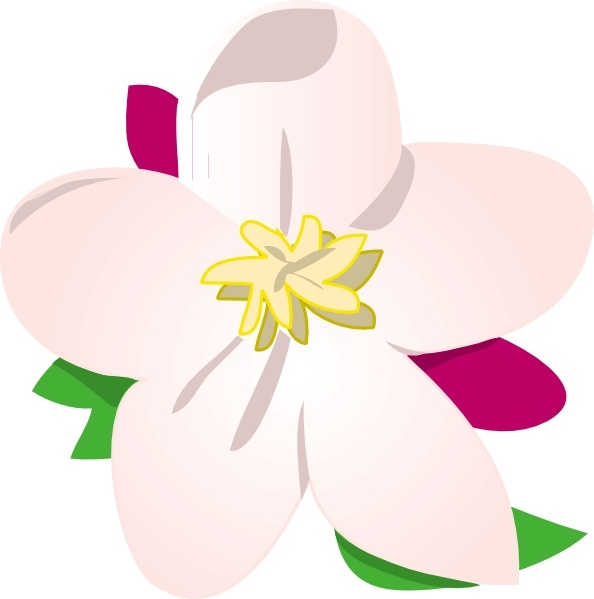 Apple Blossom clip art Free vector in Open office drawing svg ( .svg