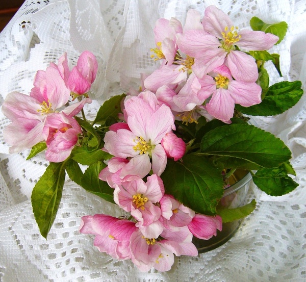apple blossom flower arrangment