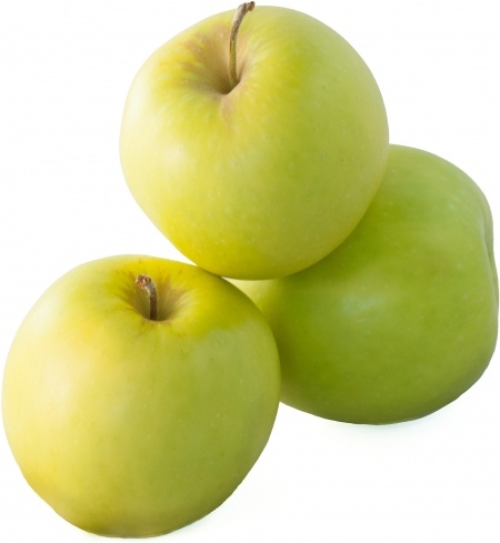 apple the apples the fruit of the 