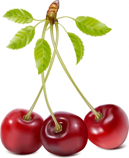Cherry background shiny colored modern realistic design Vectors graphic ...
