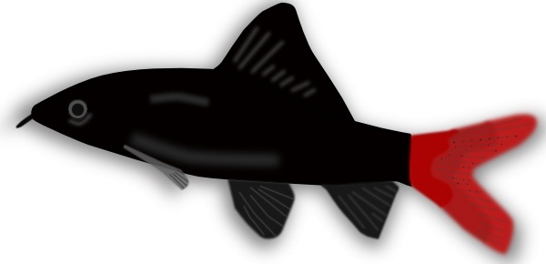 Aquarium Fish Silhouette clip art