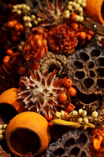 aroma aromatherapy autumn